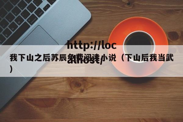 我下山之后苏辰免费阅读小说(下山后我当武)